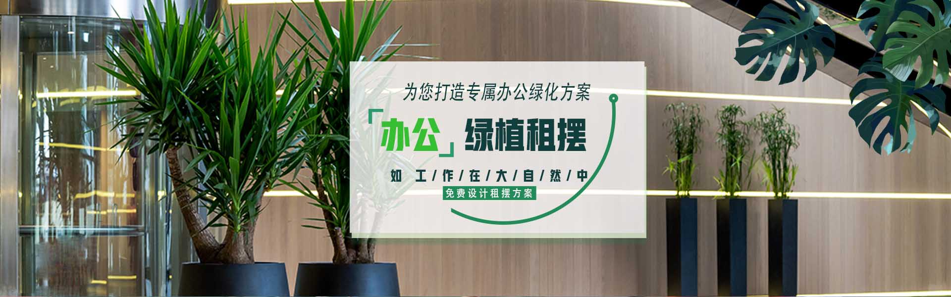 首頁幻燈2